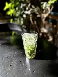 پالوده خیار.نعنا.سکنجبین