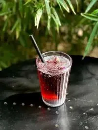 تخم شربتی