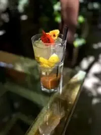 شربت خاکشیر