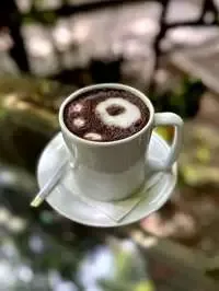 هات چاکلت (ساده.تند.مکزیکی)